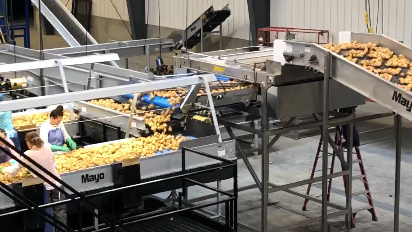 Mayo Manufacturing